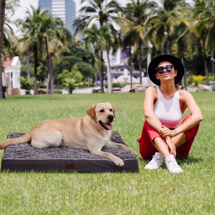 XL Orthopedic Dog Bed for Large and Extra Large Dogs, Egg-Crate Foam - GREY