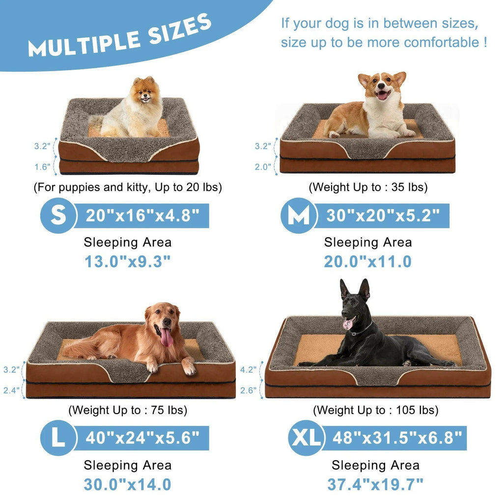Best Orthopedic Dog Beds for Small Dogs